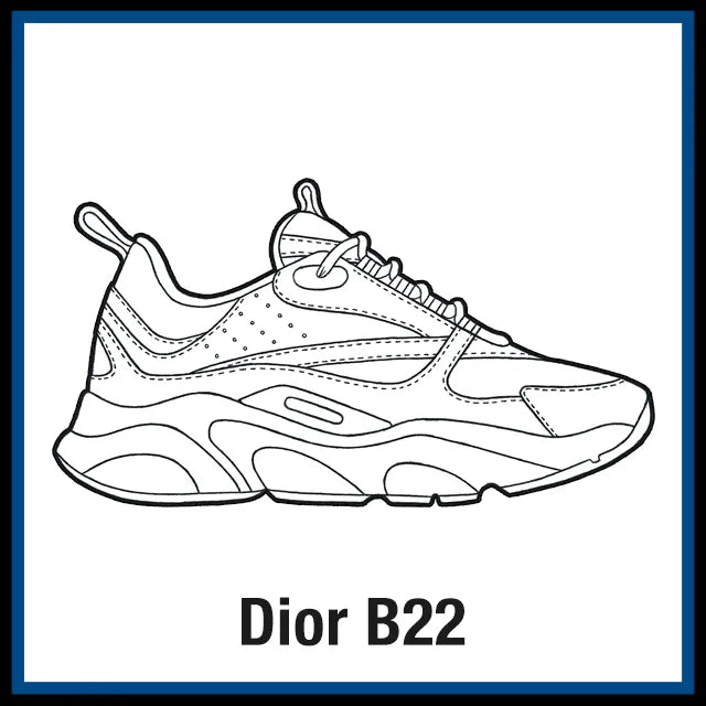Dior b22